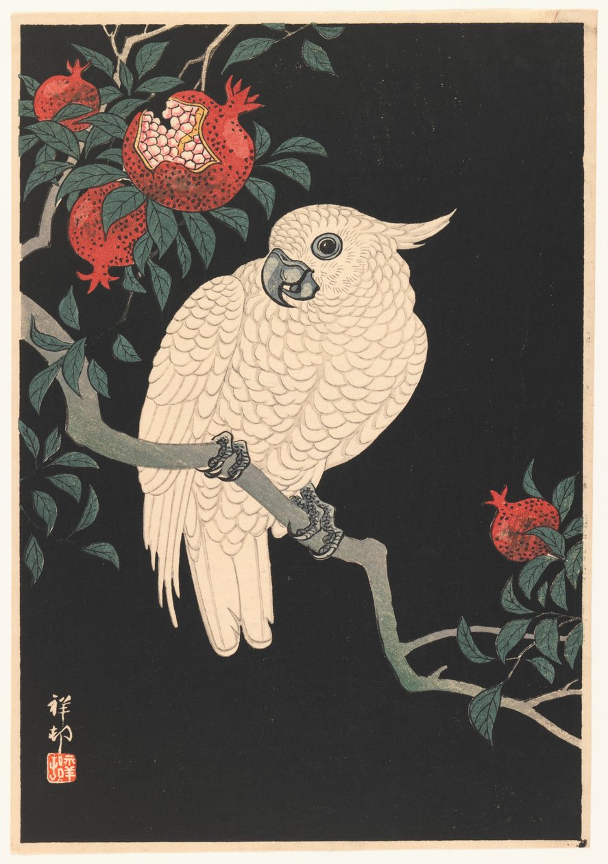 Witte Papegaai en Granaatappel, 1927-1989 door Ohara Koson