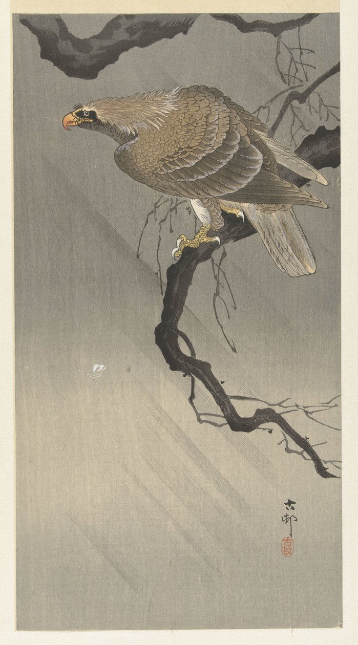 Arend op tak door Ohara Koson