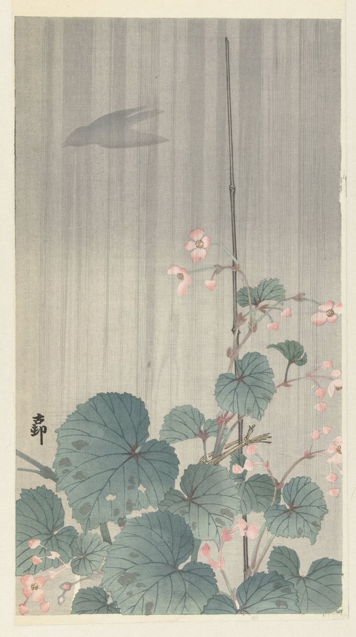 Begonia in de regen door Ohara Koson