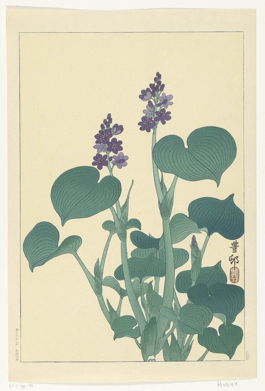 Bloeiende hosta door Ohara Koson