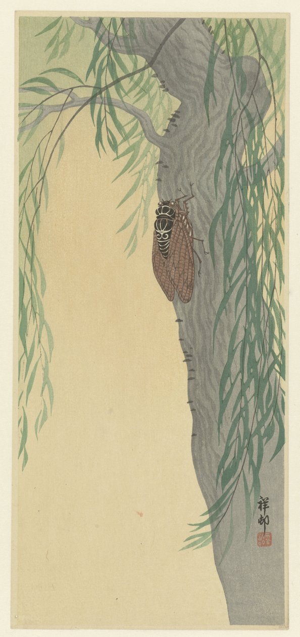 Cicade op boom door Ohara Koson