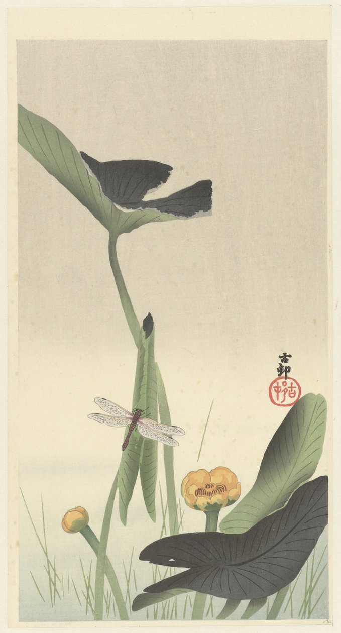 Libelle en lotus bloem door Ohara Koson