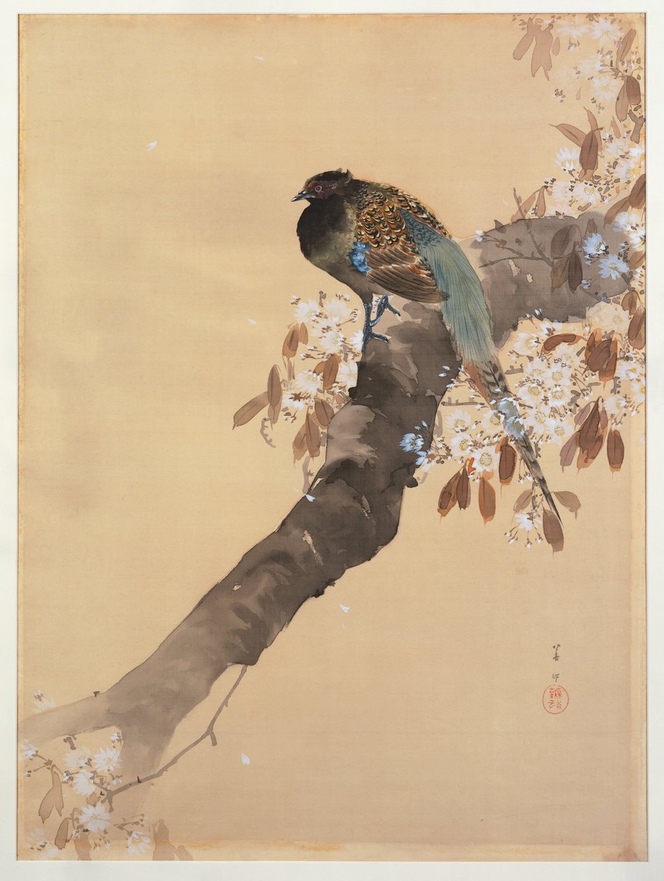 Fazant op kersenbloesemtak door Ohara Koson