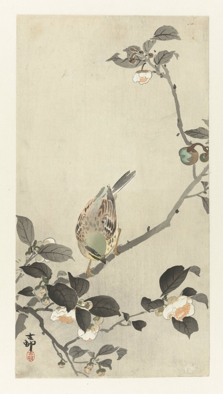 Gors op bloesemtak door Ohara Koson