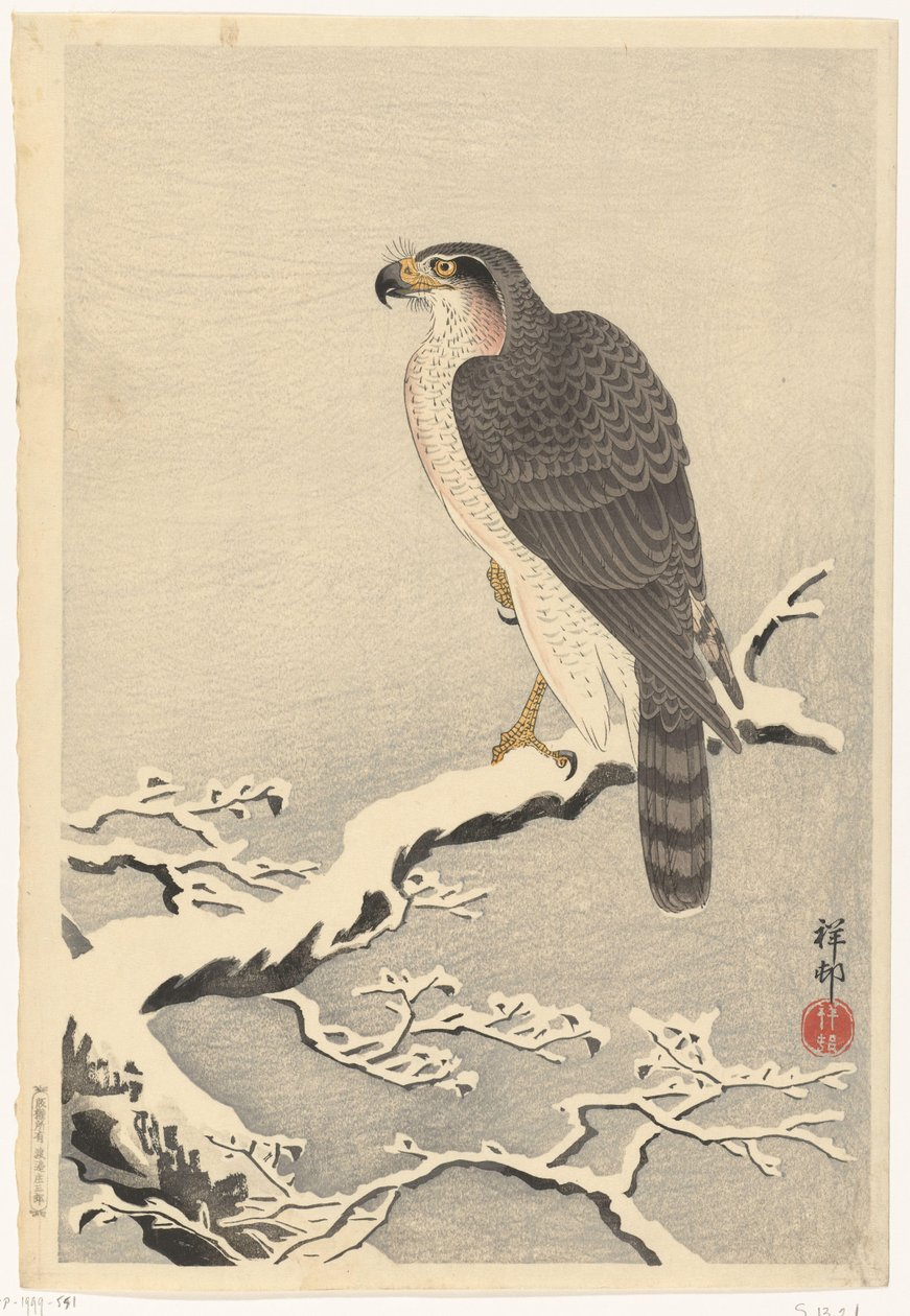 Havik op besneeuwde tak van pijnboom door Ohara Koson