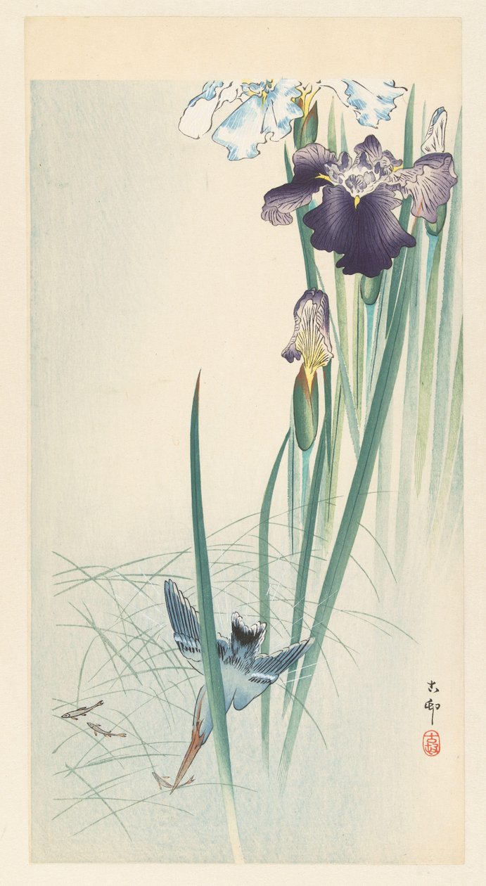 IJsvogel en irissen door Ohara Koson