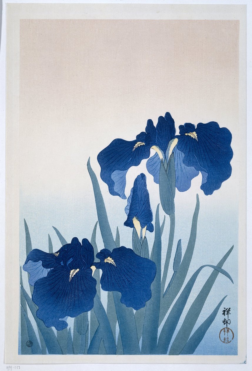Iris door Ohara Koson