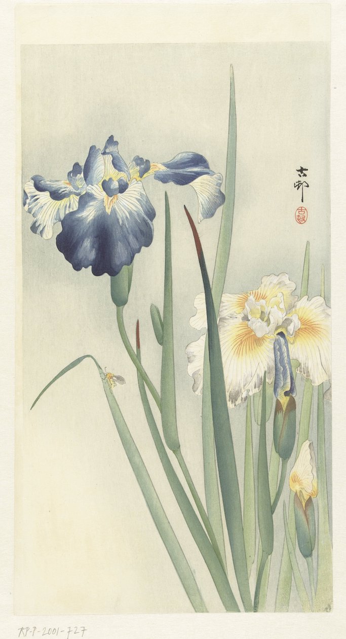Irissen door Ohara Koson