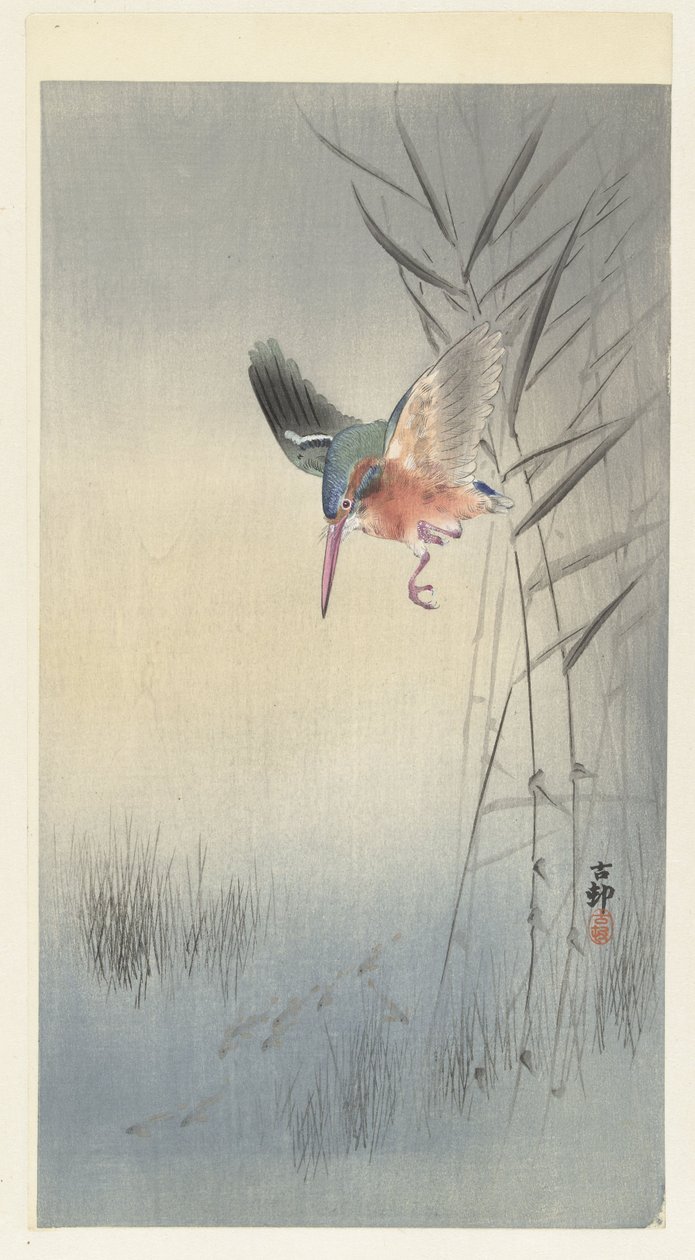 IJsvogel op jacht naar vis (kleur houtsnede) door Ohara Koson