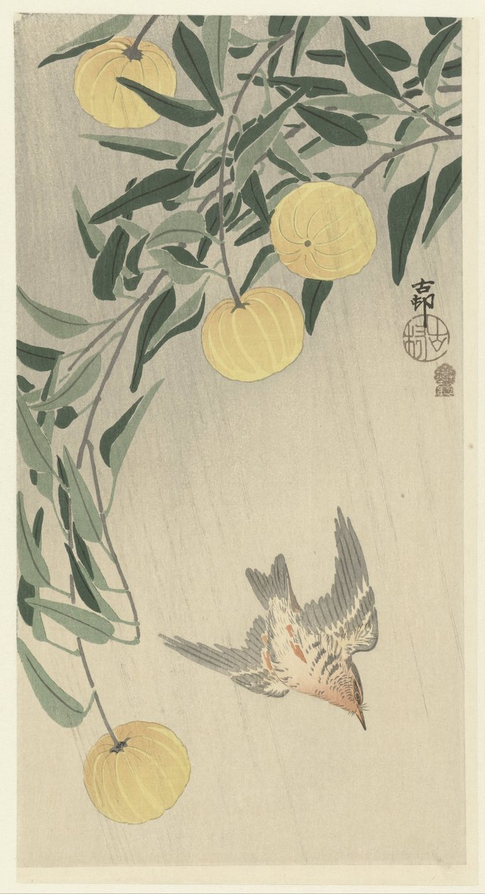 Koekoek in de regen door Ohara Koson