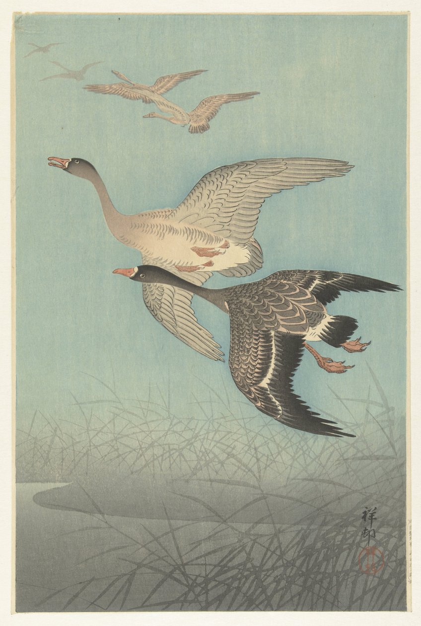 Kolganzen in de vlucht door Ohara Koson