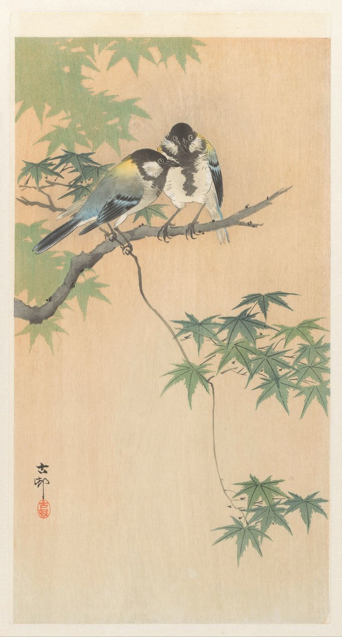 Koolmezen op esdoorntak door Ohara Koson