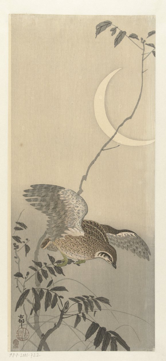 Kwartel bij sikkel maan door Ohara Koson