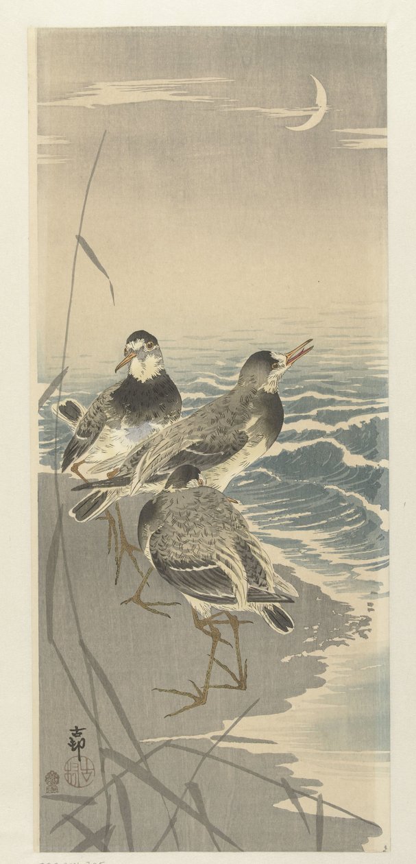 Oeverlopers bij sikkelmaan door Ohara Koson