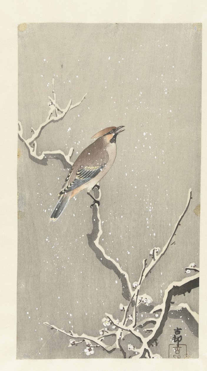 Pestvogel op besneeuwde tak door Ohara Koson