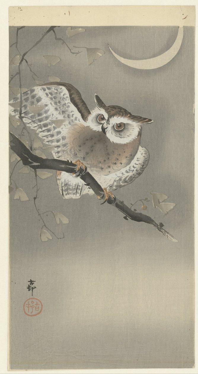 Ransuil in ginkgo door Ohara Koson