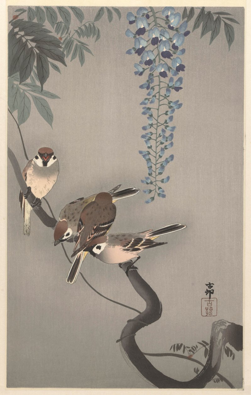 Ringmussen bij wisteria door Ohara Koson