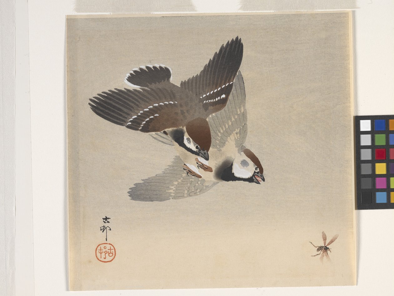 Mussen die een Vliegend Insect Achtervolgen door Ohara Koson