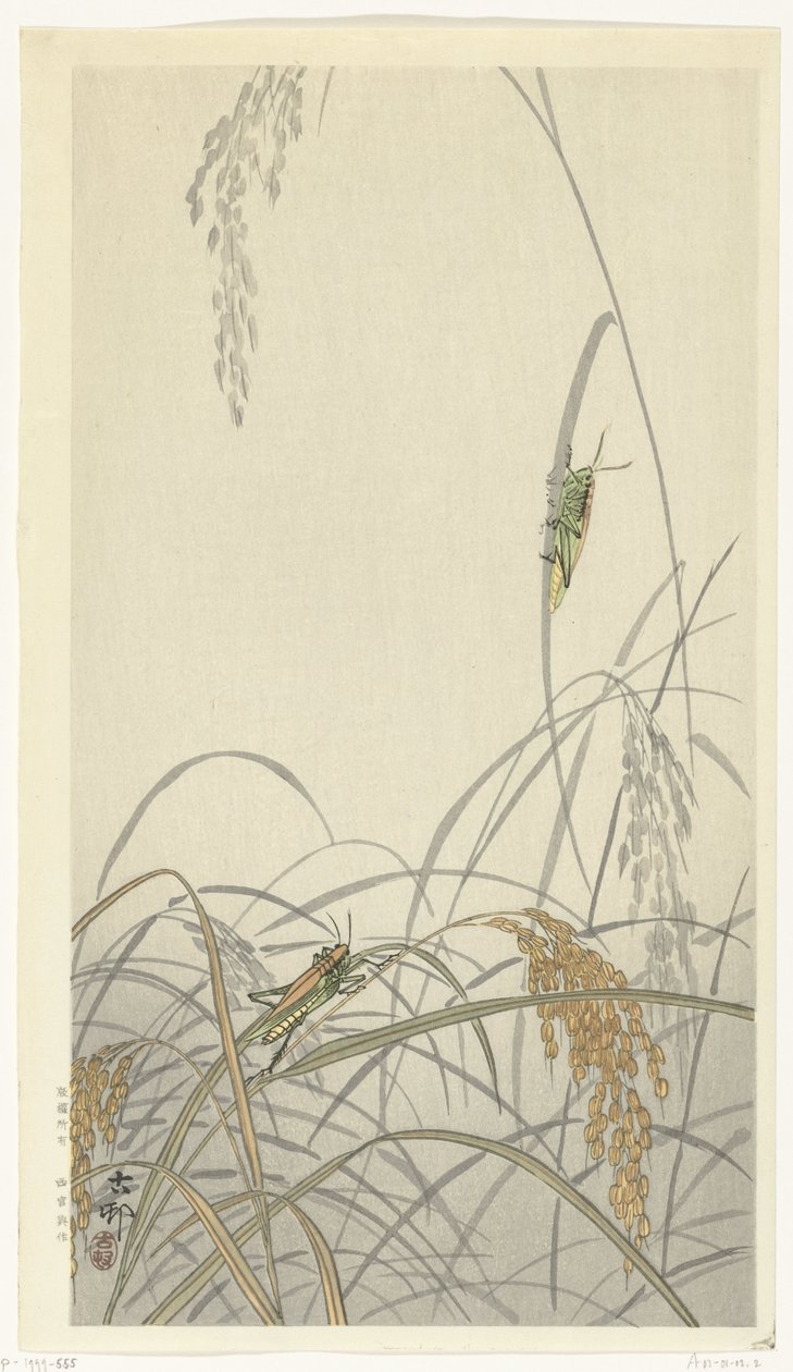 Sprinkhanen op rijstplanten door Ohara Koson