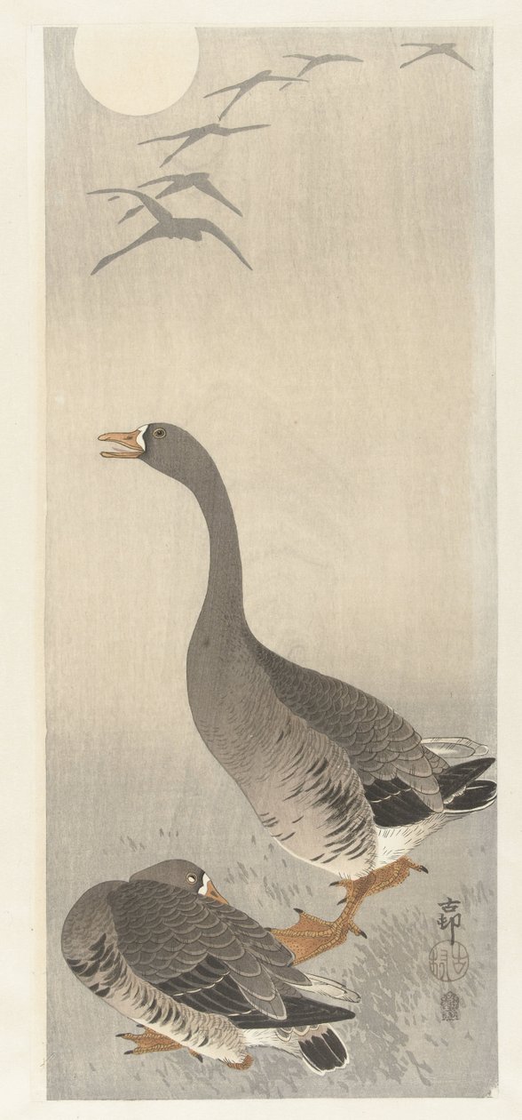 Twee ganzen door Ohara Koson
