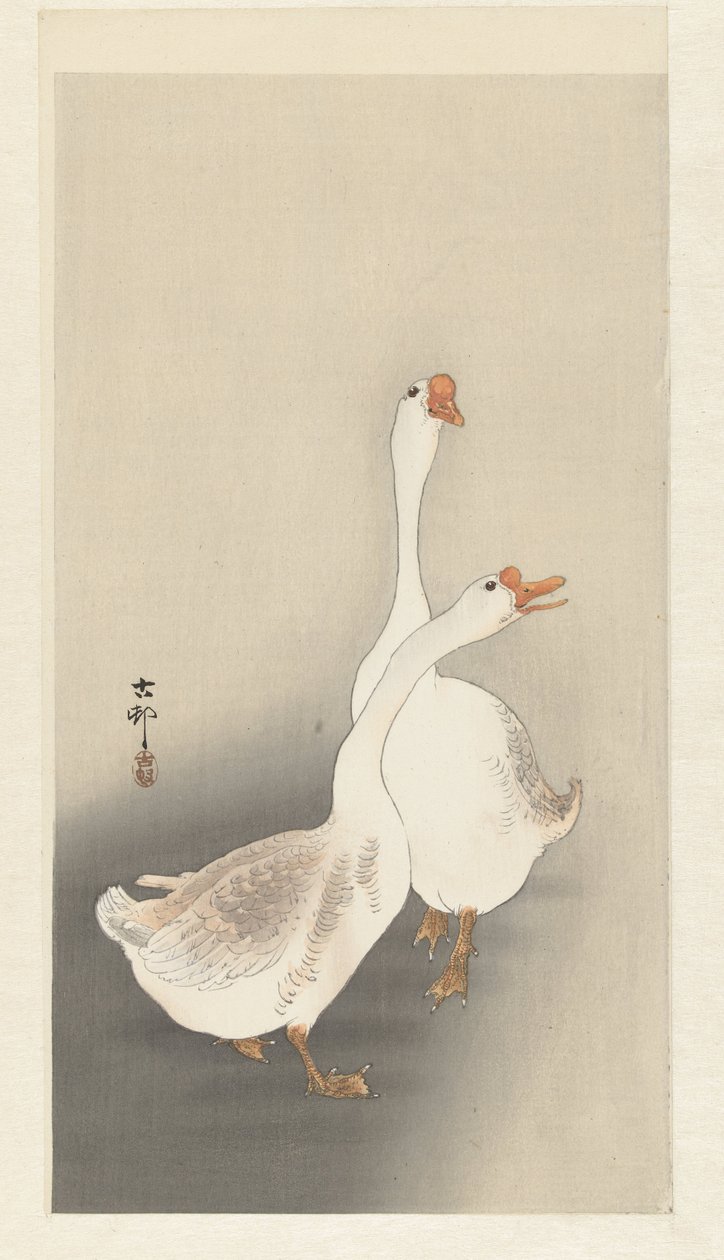 Twee ganzen door Ohara Koson