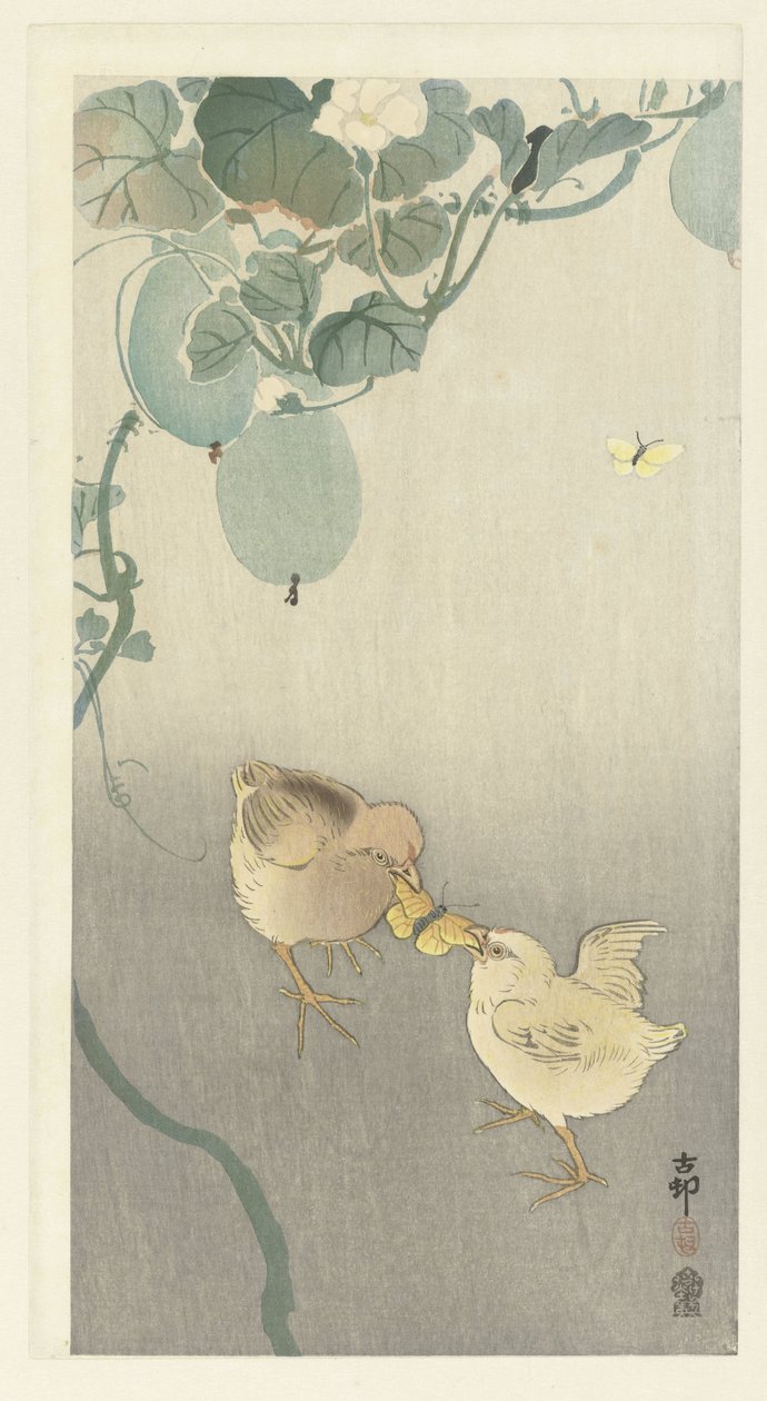 Twee kuikens vechtend om vlinder door Ohara Koson