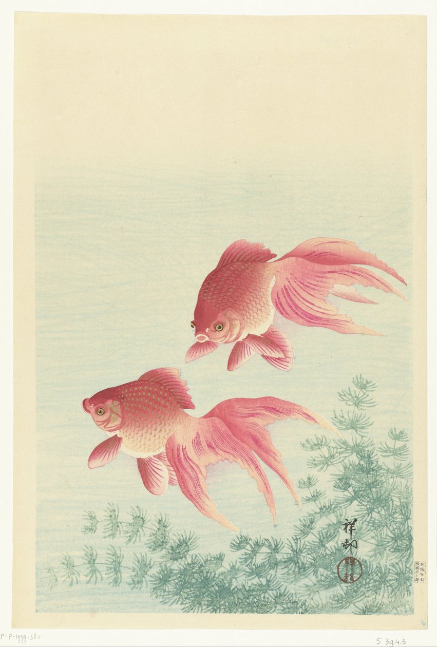Twee sluierstaart goudvissen door Ohara Koson