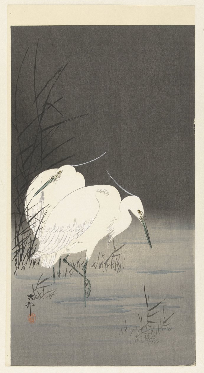 Twee zilverreigers in het riet door Ohara Koson