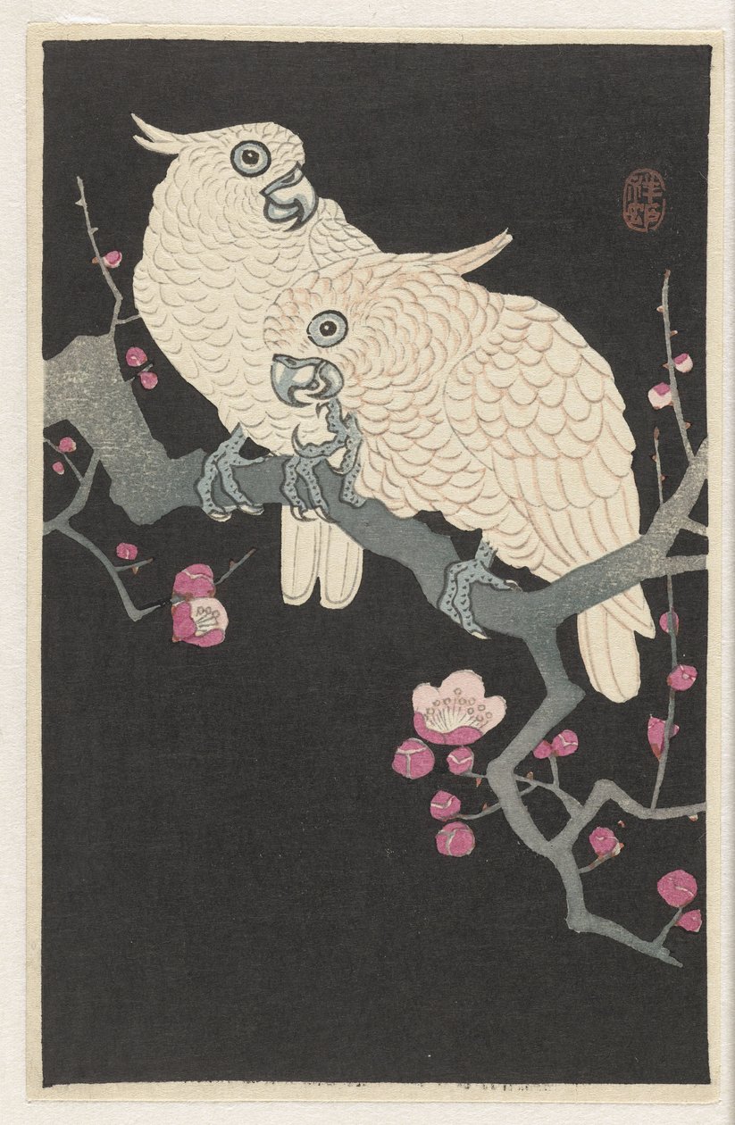 Twee kaketoes en pruimenbloesem door Ohara Koson