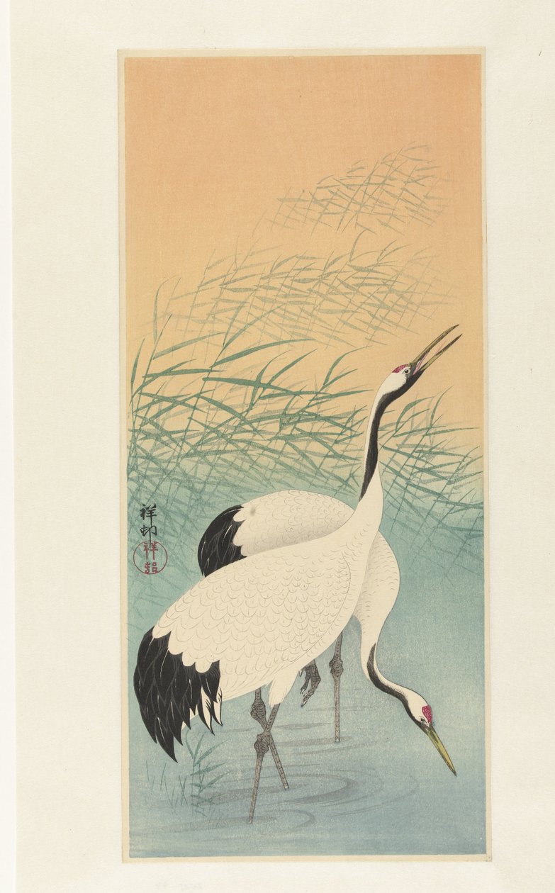 Twee kraanvogels door Ohara Koson