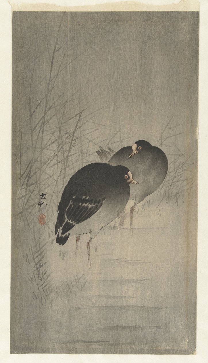 Waterhoentjes tussen riet door Ohara Koson