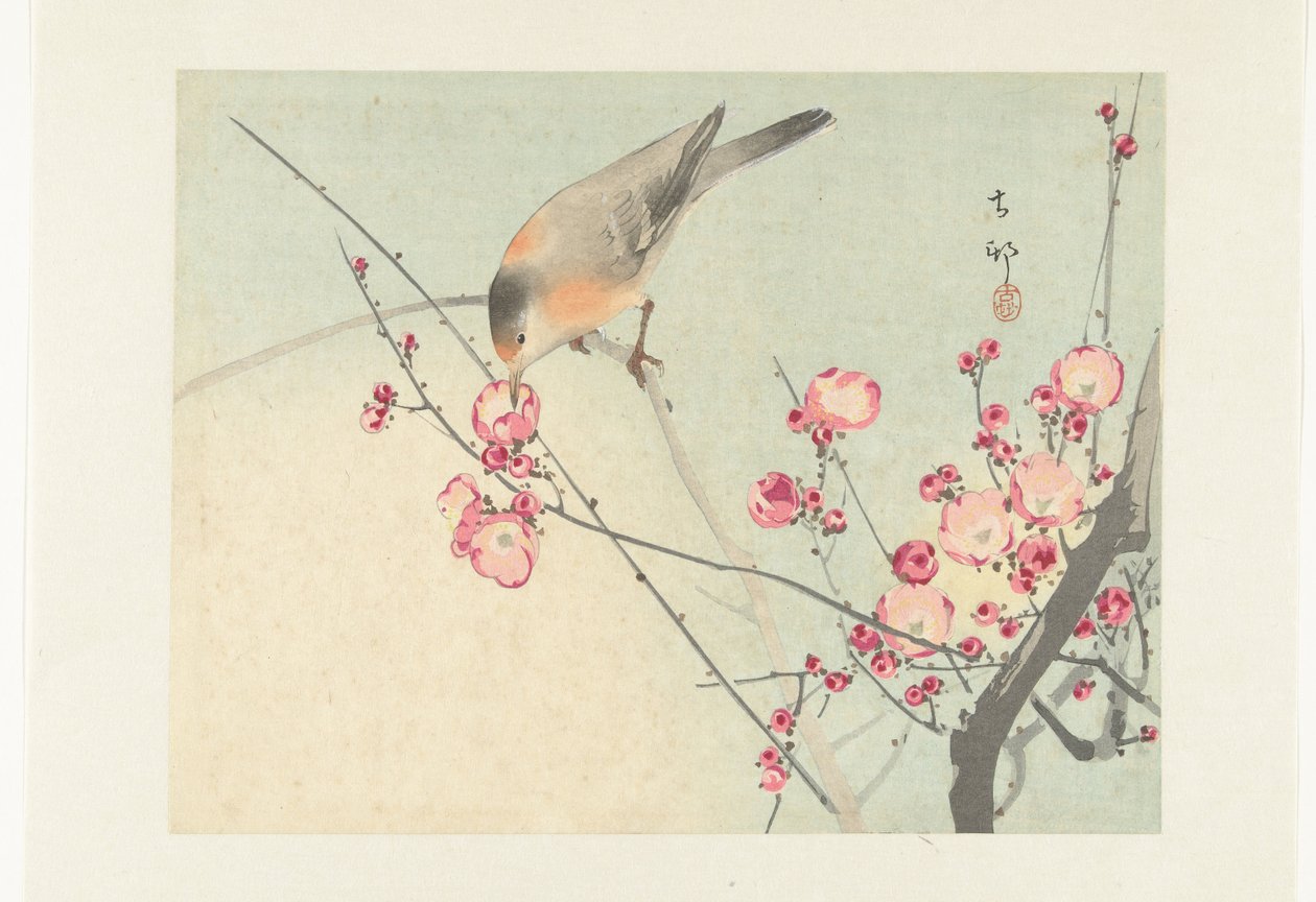 Zangvogel op bloesemtak door Ohara Koson