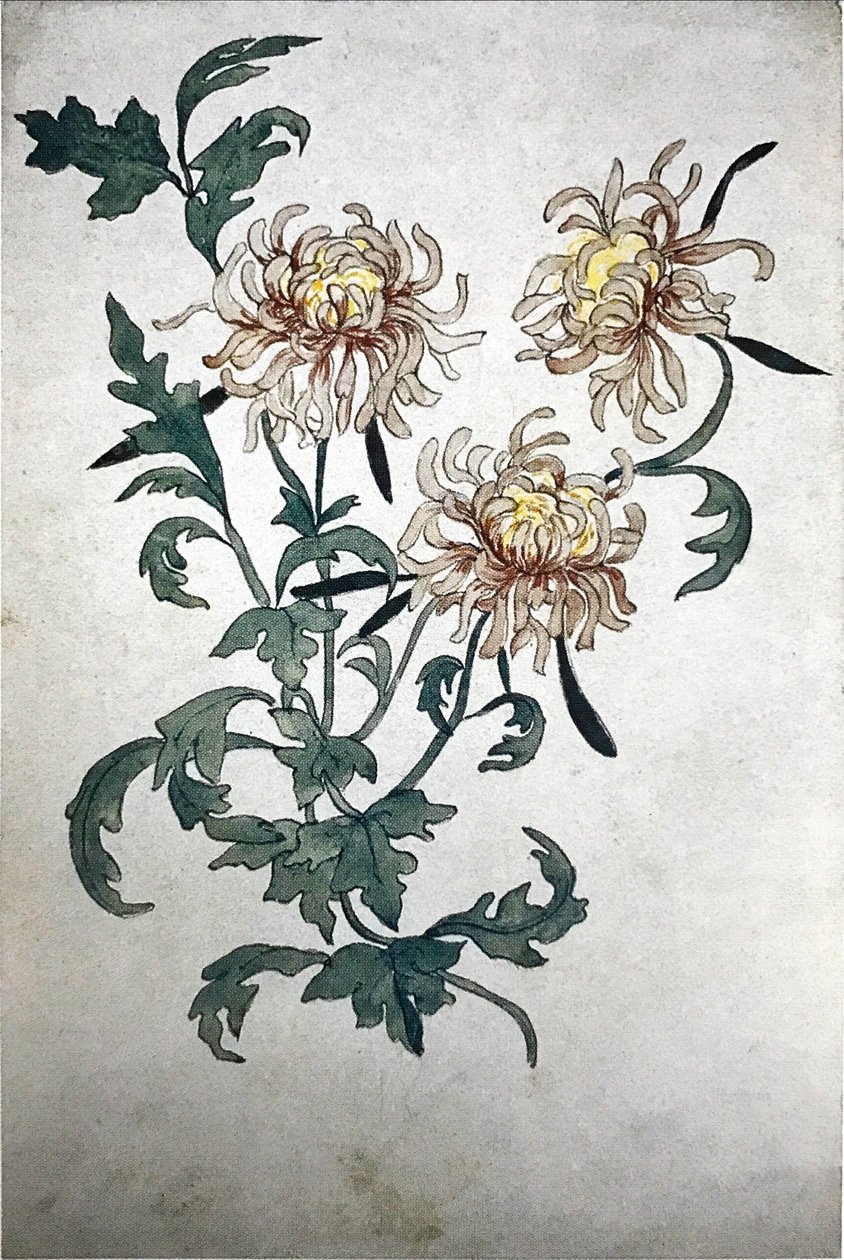 Bloemen door Olga Rozanova