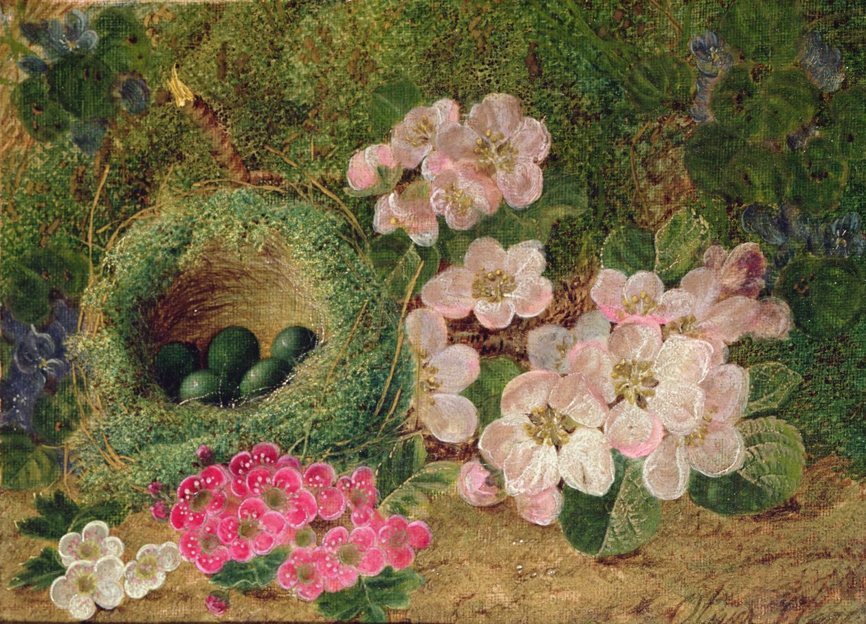 Sleutelbloemen bij een Vogelnest door Oliver Clare