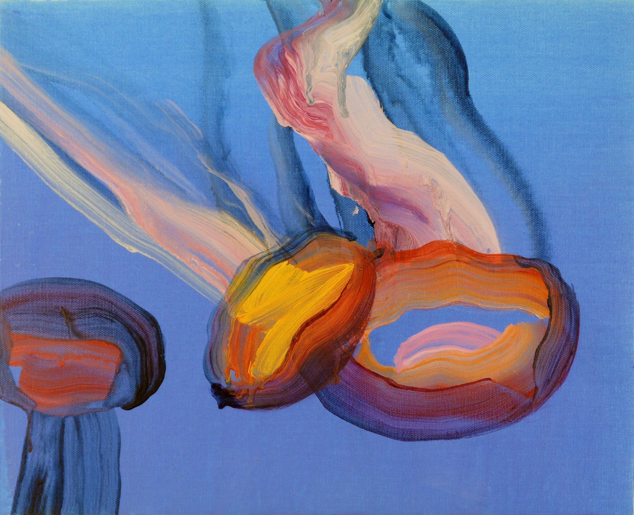 Méduses 11, 2013 (acryl op doek) door Olivier Morel