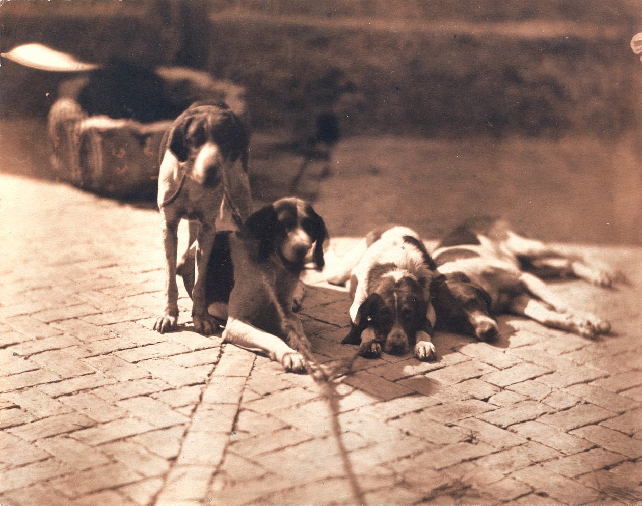 Jachthonden, ca.1853 (zoutdruk) door Olympe Aguado
