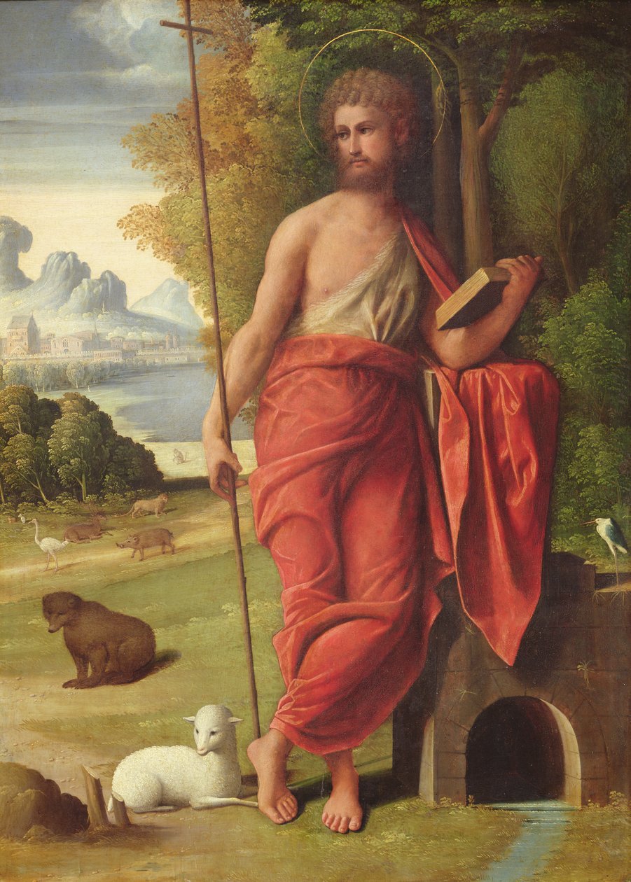 Sint Jan de Doper in de Wildernis, ca. 1525 door Ortolano