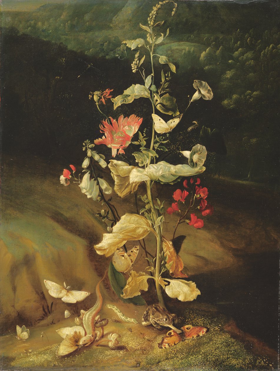 Stilleven met bloemen door Otto Marseus  van Schrieck