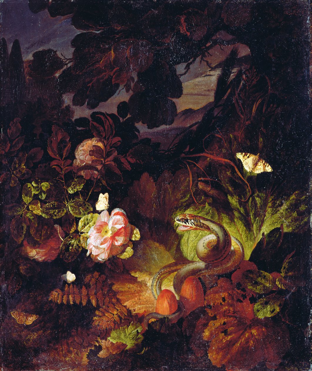 Bloemen, Slang en Vlinders door Otto Marseus  van Schrieck