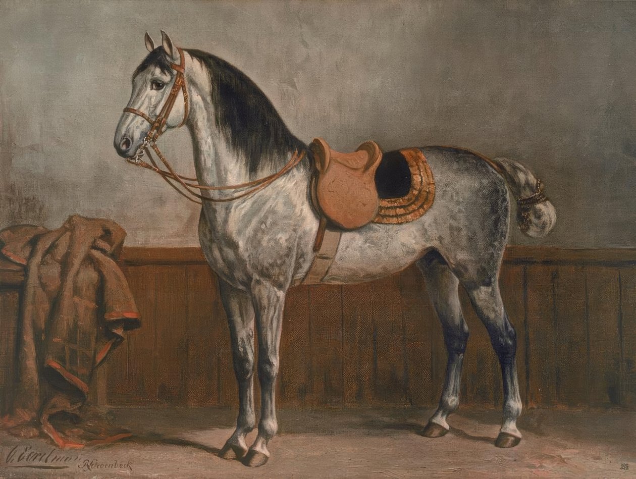 Lipizzaner door Otto Eerelman