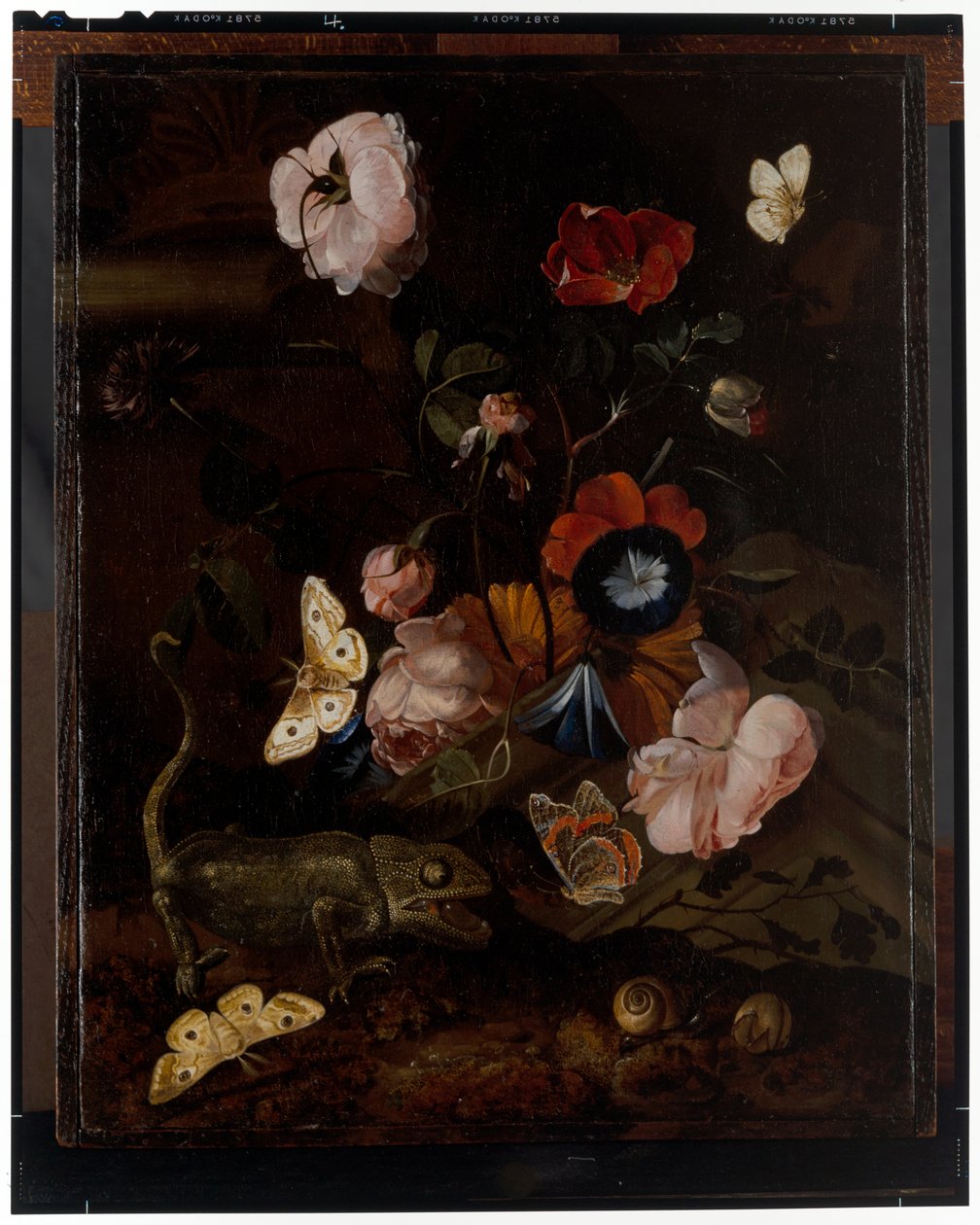 Bos stilleven door Otto Marseus  van Schrieck
