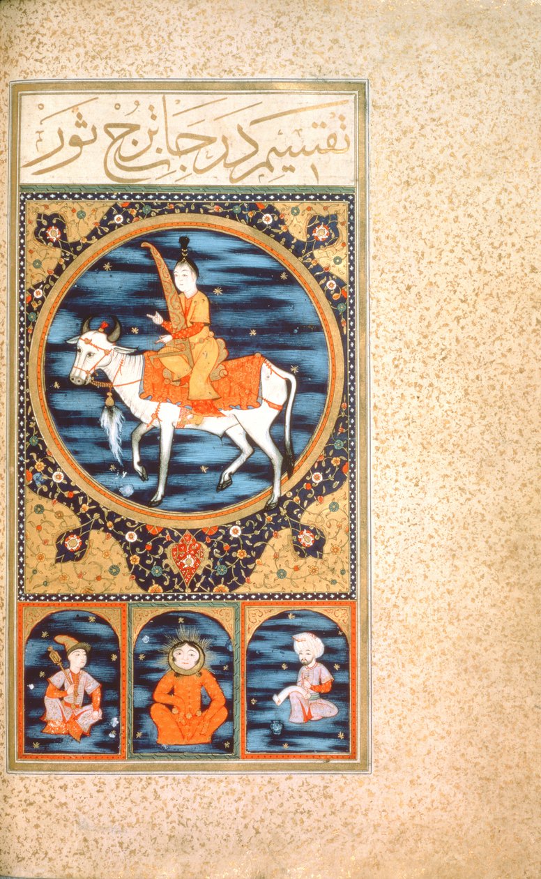 Stier door Ottoman School