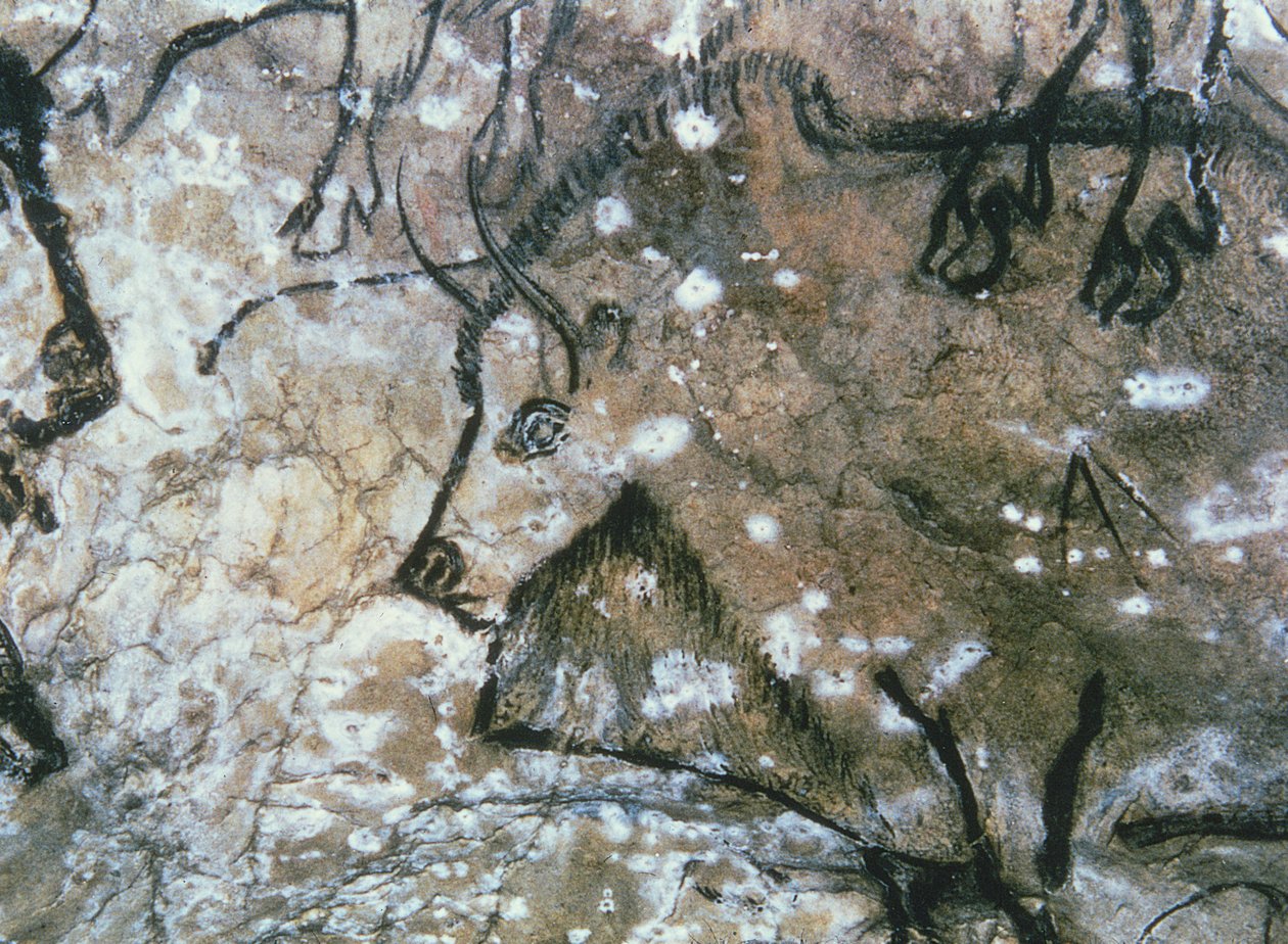 Gewonde stier, rots schildering, Magdalénien (grotschildering) door Paleolithic Paleolithic