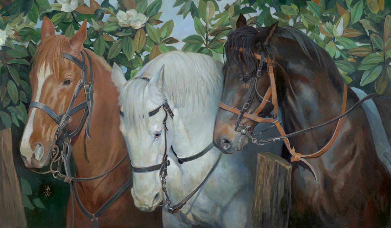 Gered, 2014 (olieverf op doek) door Pamela Patrick White