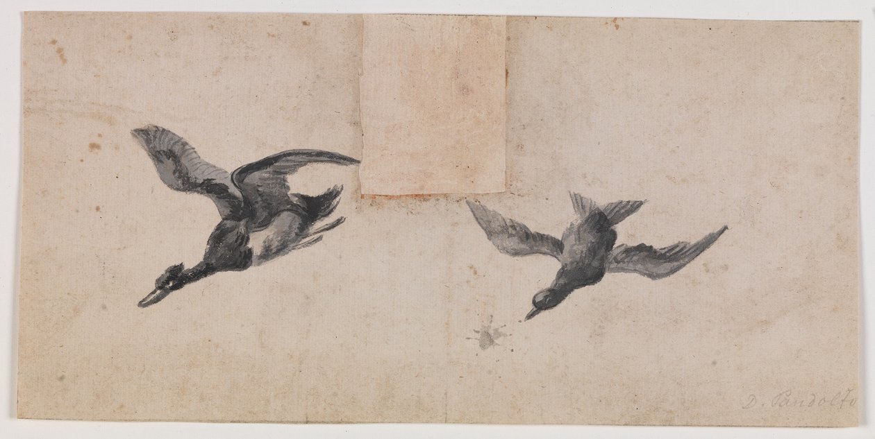 Twee vliegende vogels door Pandolfo Reschi