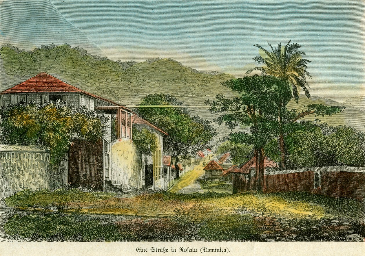 Een straat in Roseau, Dominica, ca. 1880 door Pann
