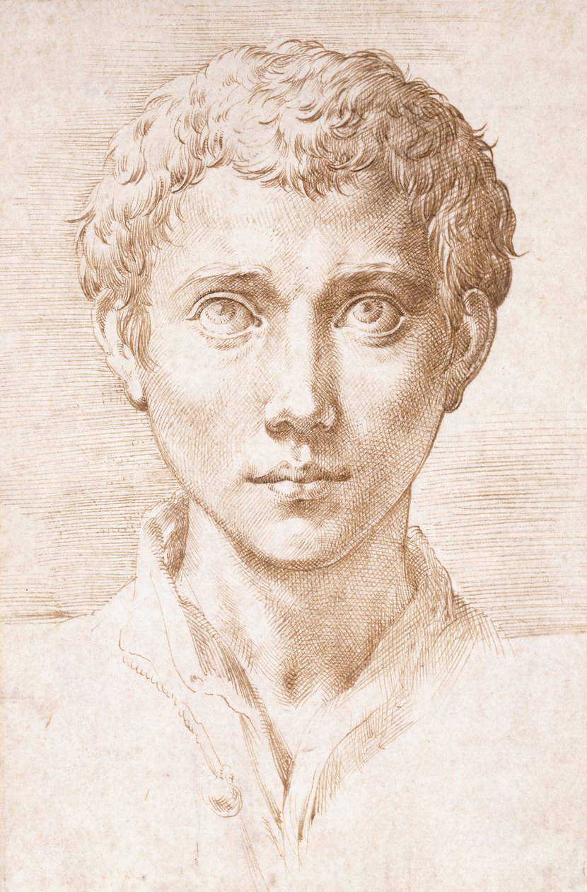 Hoofd van een jonge man die omhoog kijkt door Parmigianino