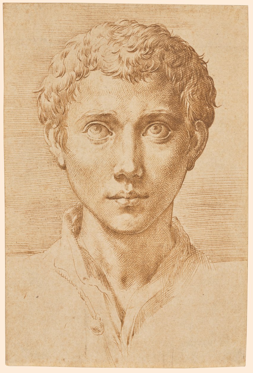 Het hoofd van een jonge man door Parmigianino
