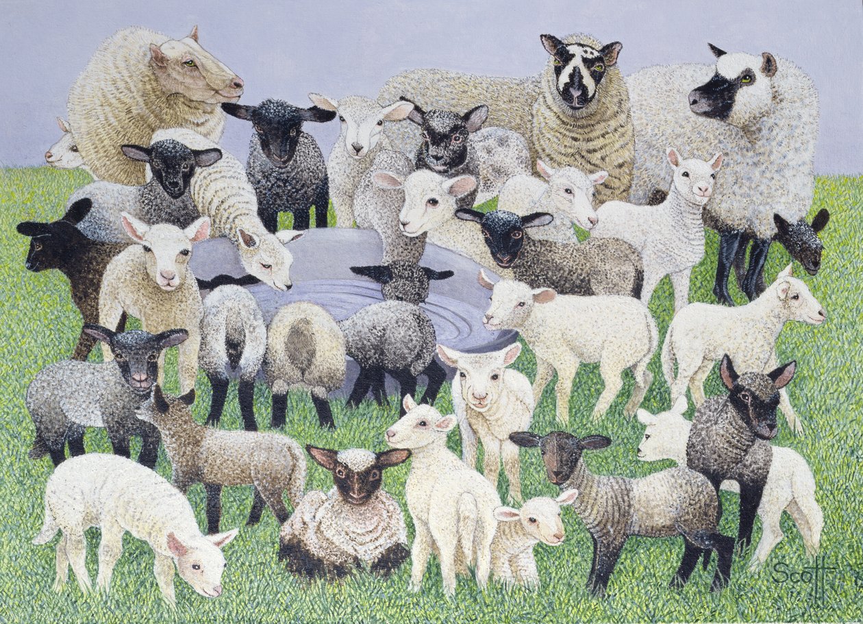 Feeling Sheepish (olieverf op doek) door Pat Scott
