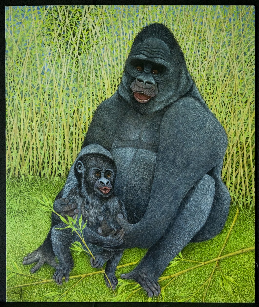 Gorilla